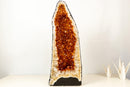 AAA - Grade Golden - Orange Citrine Geode Cathedral - E2D Crystals & Minerals