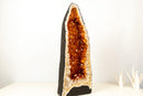 AAA - Grade Golden - Orange Citrine Geode Cathedral - E2D Crystals & Minerals