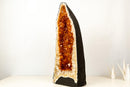 AAA - Grade Golden - Orange Citrine Geode Cathedral - E2D Crystals & Minerals