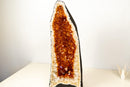 AAA - Grade Golden - Orange Citrine Geode Cathedral - E2D Crystals & Minerals