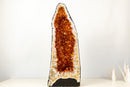 AAA - Grade Golden - Orange Citrine Geode Cathedral - E2D Crystals & Minerals