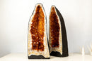 Pair of AAA - Grade Golden - Orange Citrine Geode Cathedrals - E2D Crystals & Minerals