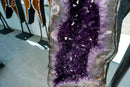 Museum-Scale Amethyst Wings Pair – Symmetrical Long-Tailed Butterfly Geodes
