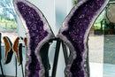 Museum-Scale Amethyst Wings Pair – Symmetrical Long-Tailed Butterfly Geodes