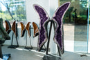Museum-Scale Amethyst Wings Pair – Symmetrical Long-Tailed Butterfly Geodes