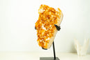 Large Rich Orange Citrine Cluster on Stand – Bright Druzy Crystal Points (19 in | 21 lb)