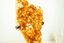 Large Rich Orange Citrine Cluster on Stand – Bright Druzy Crystal Points (19 in | 21 lb)