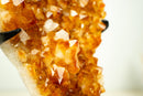 Large Rich Orange Citrine Cluster on Stand – Bright Druzy Crystal Points (19 in | 21 lb)