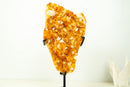 Large Rich Orange Citrine Cluster on Stand – Bright Druzy Crystal Points (19 in | 21 lb)