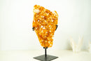Large Rich Orange Citrine Cluster on Stand – Bright Druzy Crystal Points (19 in | 21 lb)