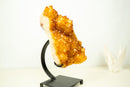 Large Golden-Orange Citrine Crystal Cluster – Stalactite Flowers & Sparkly Druzy (8.8 kg | 19.5 lb)
