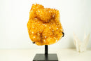 Large Golden-Orange Citrine Crystal Cluster – Stalactite Flowers & Sparkly Druzy (8.8 kg | 19.5 lb)