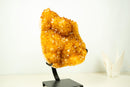Large Golden-Orange Citrine Crystal Cluster – Stalactite Flowers & Sparkly Druzy (8.8 kg | 19.5 lb)