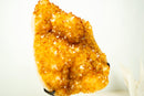 Large Golden-Orange Citrine Crystal Cluster – Stalactite Flowers & Sparkly Druzy (8.8 kg | 19.5 lb)