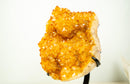 Large Golden-Orange Citrine Crystal Cluster – Stalactite Flowers & Sparkly Druzy (8.8 kg | 19.5 lb)