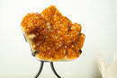 AAA Brazilian Golden-Orange Citrine Druzy Cluster with Flower Stalactites on Stand - Large Size (16 in | 25 lb)