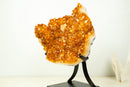 AAA Brazilian Golden-Orange Citrine Druzy Cluster with Flower Stalactites on Stand - Large Size (16 in | 25 lb)