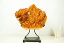 AAA Brazilian Golden-Orange Citrine Druzy Cluster with Flower Stalactites on Stand - Large Size (16 in | 25 lb)