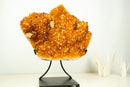 AAA Brazilian Golden-Orange Citrine Druzy Cluster with Flower Stalactites on Stand - Large Size (16 in | 25 lb)
