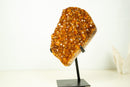 Natural Citrine Cluster with AAA, Orange Druzy Madeira - 4.9 Kg - 11 lb