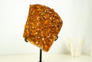 Natural Citrine Cluster with AAA, Orange Druzy Madeira - 4.9 Kg - 11 lb