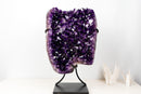 X-Large AAA Grape Jelly Amethyst Geode Cluster – Deep Purple Brazilian Crystal, Raw & Ethically Sourced (58 Lb)