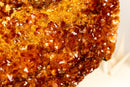 X-Large AAA Madeira Orange Citrine Cluster – Natural Galaxy Druzy Crystal on a Sculptural Form (18.7 kg | 41.2 lb)