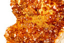 X-Large AAA Madeira Orange Citrine Cluster – Natural Galaxy Druzy Crystal on a Sculptural Form (18.7 kg | 41.2 lb)