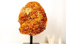 X-Large AAA Madeira Orange Citrine Cluster – Natural Galaxy Druzy Crystal on a Sculptural Form (18.7 kg | 41.2 lb)