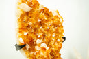 Large Rich Orange Citrine Cluster on Stand – Bright Druzy Crystal Points (19 in | 21 lb)