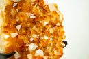 Large Rich Orange Citrine Cluster on Stand – Bright Druzy Crystal Points (19 in | 21 lb)