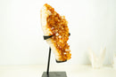 Large Rich Orange Citrine Cluster on Stand – Bright Druzy Crystal Points (19 in | 21 lb)