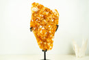 Large Rich Orange Citrine Cluster on Stand – Bright Druzy Crystal Points (19 in | 21 lb)