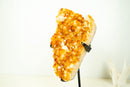 Large Rich Orange Citrine Cluster on Stand – Bright Druzy Crystal Points (19 in | 21 lb)