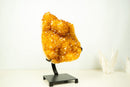 Large Golden-Orange Citrine Crystal Cluster – Stalactite Flowers & Sparkly Druzy (8.8 kg | 19.5 lb)