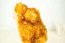Large Golden-Orange Citrine Crystal Cluster – Stalactite Flowers & Sparkly Druzy (8.8 kg | 19.5 lb)