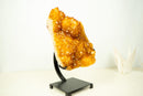 Large Golden-Orange Citrine Crystal Cluster – Stalactite Flowers & Sparkly Druzy (8.8 kg | 19.5 lb)