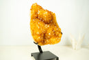 Large Golden-Orange Citrine Crystal Cluster – Stalactite Flowers & Sparkly Druzy (8.8 kg | 19.5 lb)