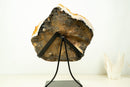 AAA Brazilian Golden-Orange Citrine Druzy Cluster with Flower Stalactites on Stand - Large Size (16 in | 25 lb)