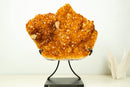 AAA Brazilian Golden-Orange Citrine Druzy Cluster with Flower Stalactites on Stand - Large Size (16 in | 25 lb)