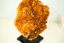 AAA Brazilian Golden-Orange Citrine Druzy Cluster with Flower Stalactites on Stand - Large Size (16 in | 25 lb)