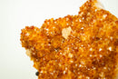 AAA Brazilian Golden-Orange Citrine Druzy Cluster with Flower Stalactites on Stand - Large Size (16 in | 25 lb)