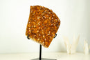 Natural Citrine Cluster with AAA, Orange Druzy Madeira - 4.9 Kg - 11 lb