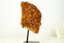 Natural Citrine Cluster with AAA, Orange Druzy Madeira - 4.9 Kg - 11 lb