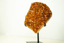 Natural Citrine Cluster with AAA, Orange Druzy Madeira - 4.9 Kg - 11 lb