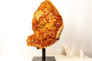 X-Large AAA Madeira Orange Citrine Cluster – Natural Galaxy Druzy Crystal on a Sculptural Form (18.7 kg | 41.2 lb)