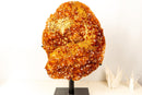 X-Large AAA Madeira Orange Citrine Cluster – Natural Galaxy Druzy Crystal on a Sculptural Form (18.7 kg | 41.2 lb)