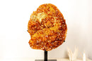 X-Large AAA Madeira Orange Citrine Cluster – Natural Galaxy Druzy Crystal on a Sculptural Form (18.7 kg | 41.2 lb)