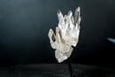 Collector Clear Quartz Cluster from Serra do Cabral, Diamantina – Long Radiating Crown Formation | 405 g