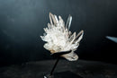 Collector Clear Quartz Cluster from Serra do Cabral, Diamantina – Long Radiating Crown Formation | 405 g